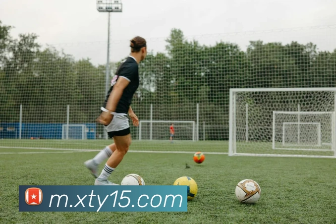 tyc新太阳集团APP 封面图